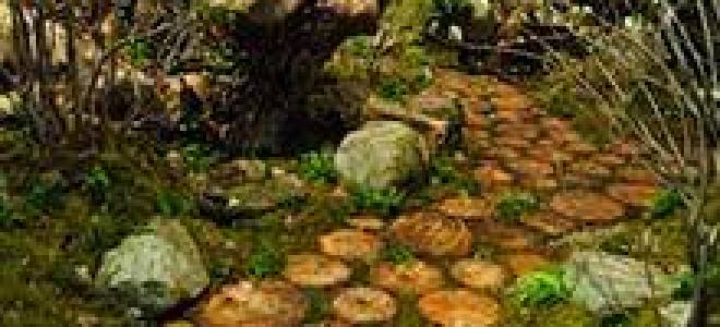 Как сделать дорожку из спилов