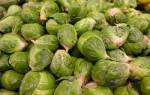 Брюссельская капуста: секреты заморозки полезного овоща