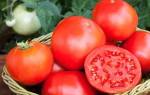 Как правильно собрать семена помидоров в домашних условиях