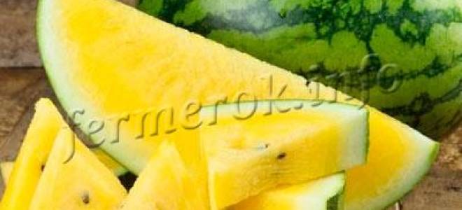Желтый арбуз — сорта и выращивание