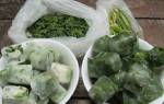ТОП 13 рецептов, как можно заготавливать зеленый лук на зиму