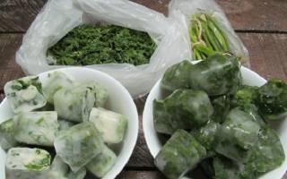ТОП 13 рецептов, как можно заготавливать зеленый лук на зиму