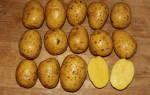 Как вырастить картофель сорта Гала у себя на участке