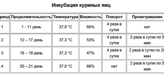 Как измерить и регулировать влажность в инкубаторе