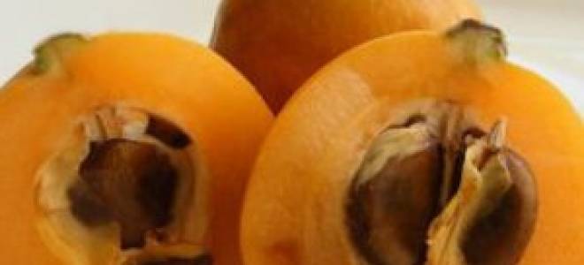 Выращивание мушмулы на подоконнике, экзотика дома