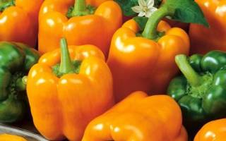 Перец «Оранжевое чудо»: описание и выращивание