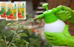 Польза борной кислоты для помидор и как ее разводить для опрыскивания