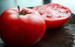 Обзор сортов томатов Сибирской селекции: характеристики и фото
