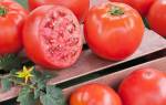 Как подкармливать томаты в период плодоношения