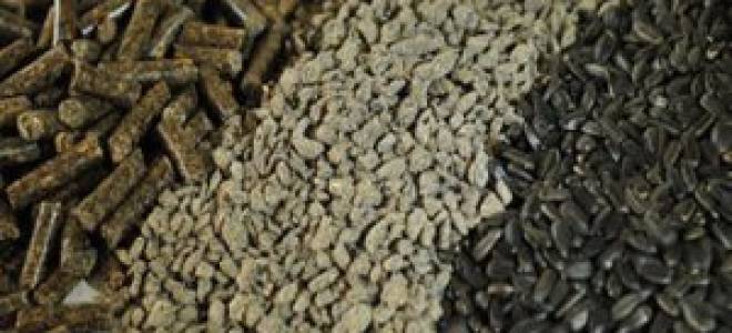 Чем отличаются подсолнечниковый жмых и шрот