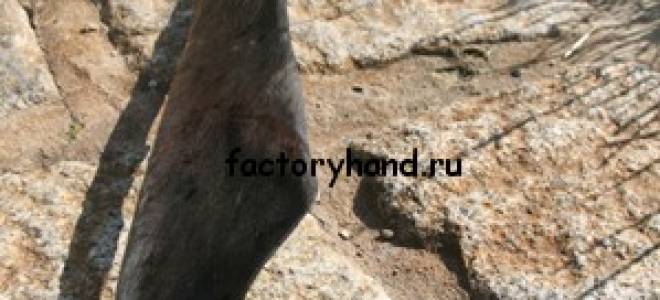 Как правильно косить косой траву